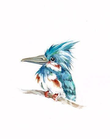 8x10 ORIGINAL KINGFISHER  detailed painting