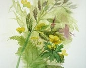 Spring flowers painting, Green Bouquet, wild, field, botanical, original watercolor art
