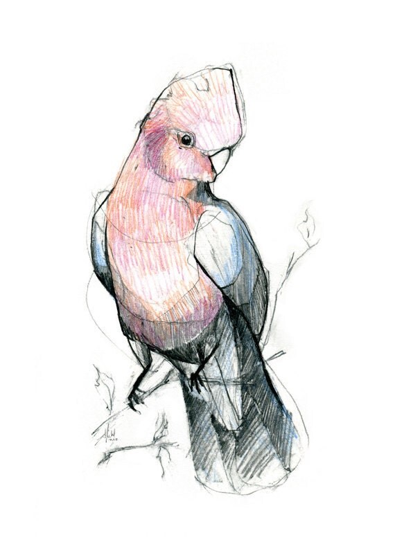 Australian Bird Print A5 Pink and Grey Galah