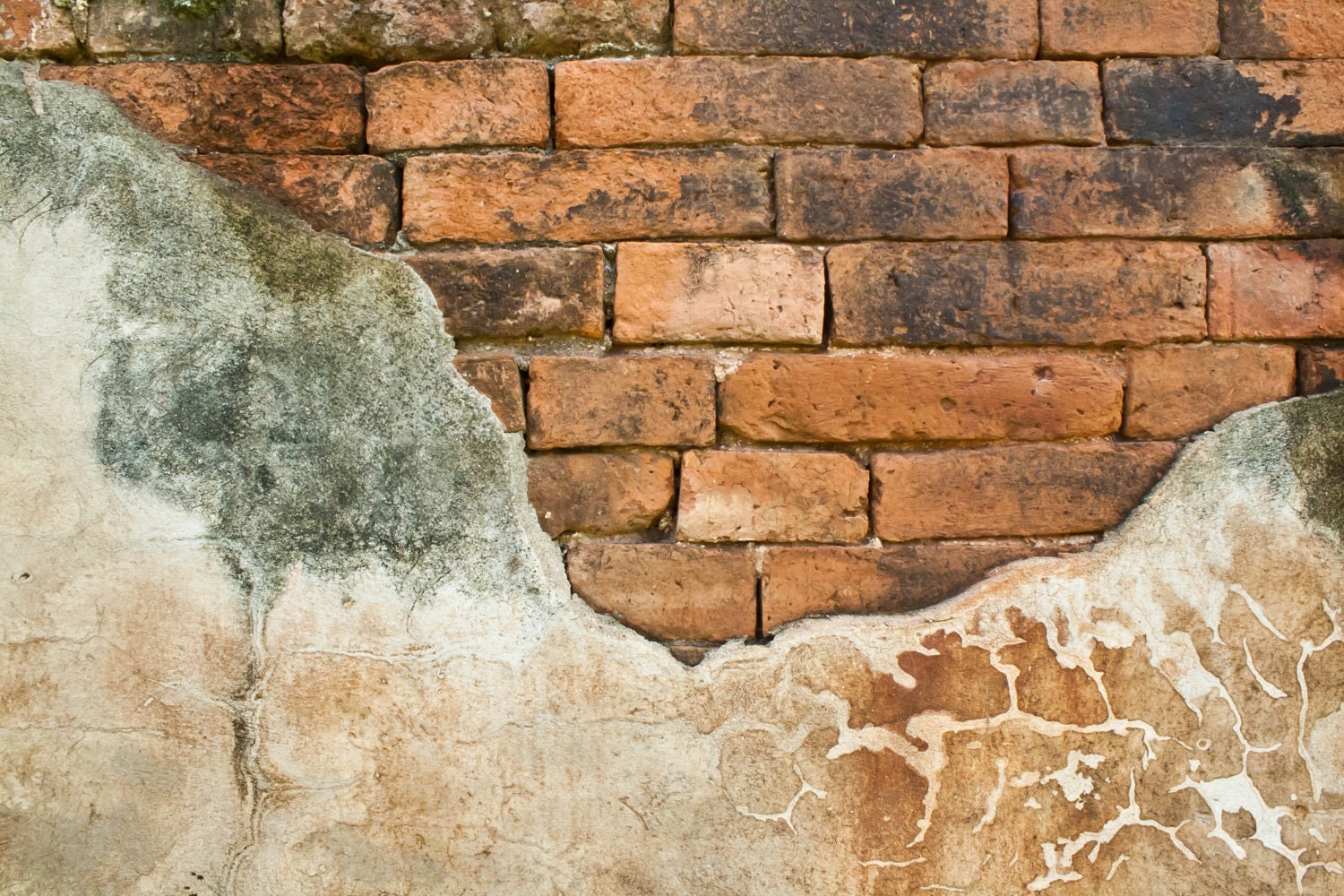 Custom 3.5' x 3.5' Rustic Rock Wall Background