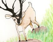 Stag (male deer with large antlers) - original ink blot illustration 8 x 10 - FrancesClements