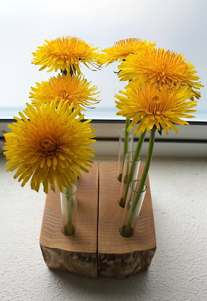 Test tube flower vase with wood base made with eco Locally Salvaged Maple (set of 2)
