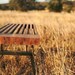 Sixty-two bench, rustic modern, coffee table, bench