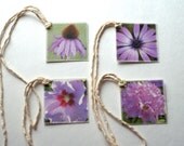Spring Flower Gift Tags, Set of Four Original Photo Tags with Different Pink and Purple Flowers