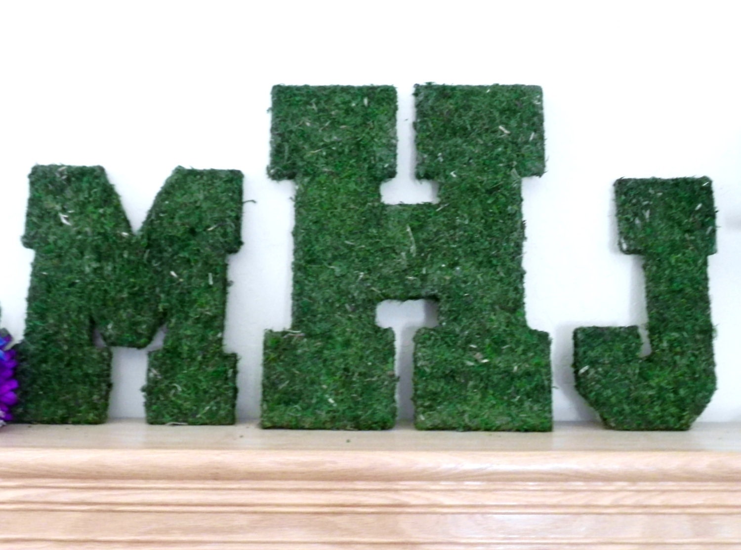 Moss Letters - Rustic Wedding- SET OF 3 pieces -Moss Monogram (Other Sizes available) A - Z