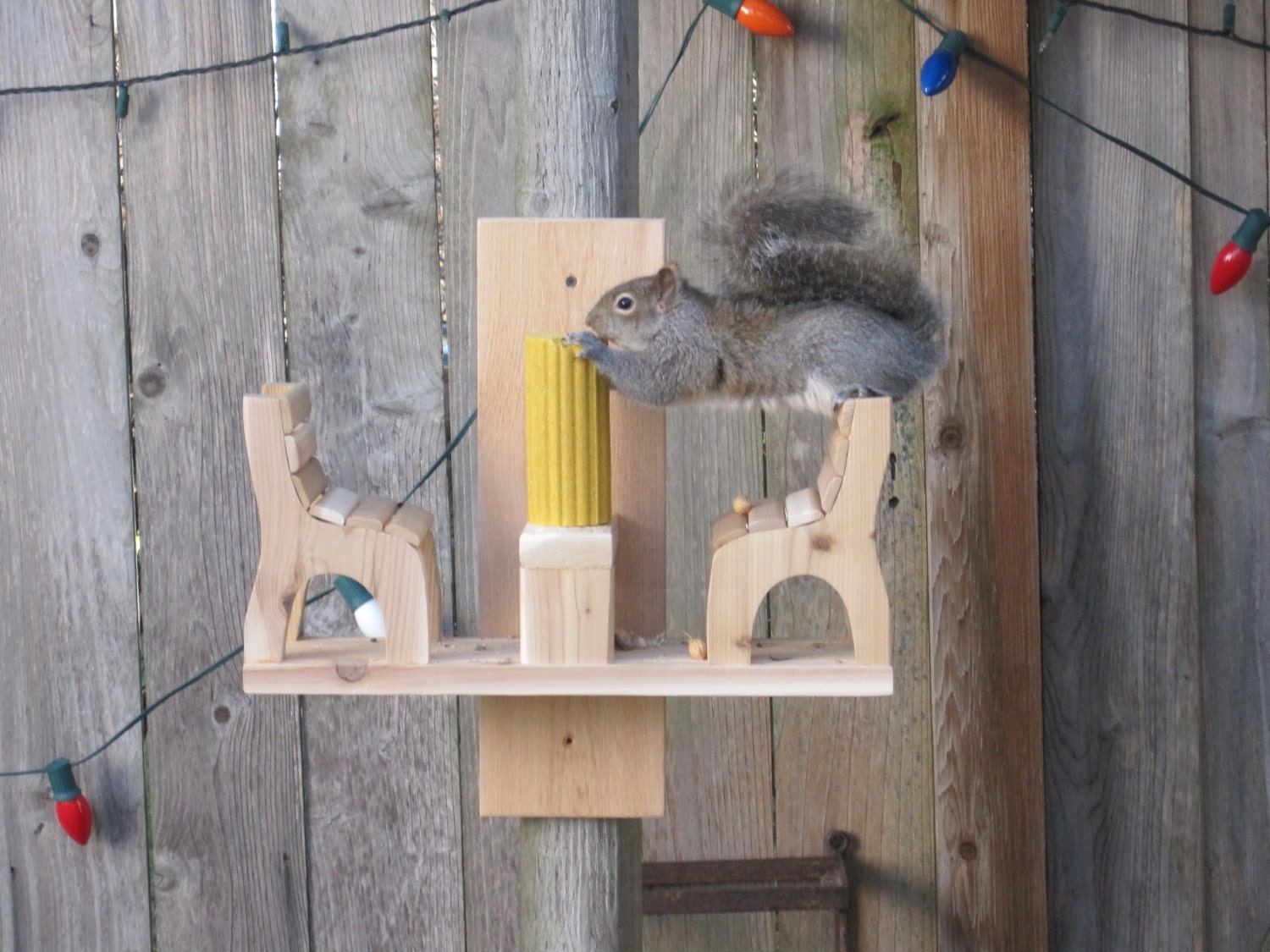 Squirrel Feeder