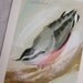 nuthatch original bird painting on paper RESERVED FOR BK