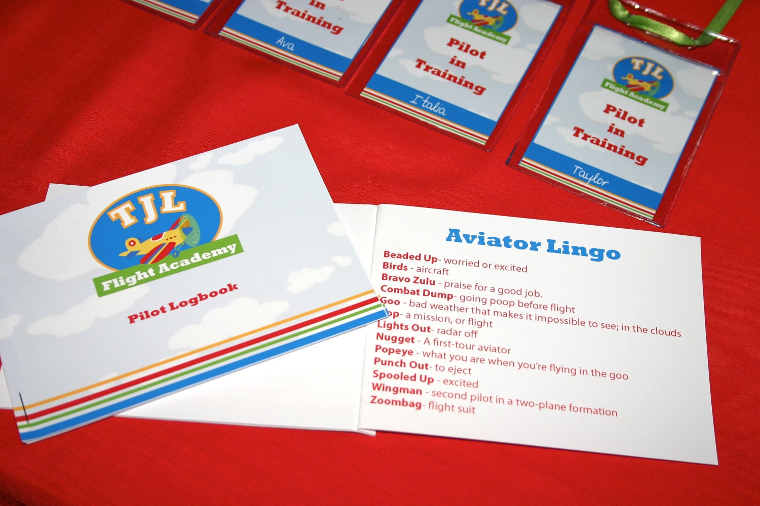 Airplane Party- Flight Academy Printable Activity Logbook & Stickers