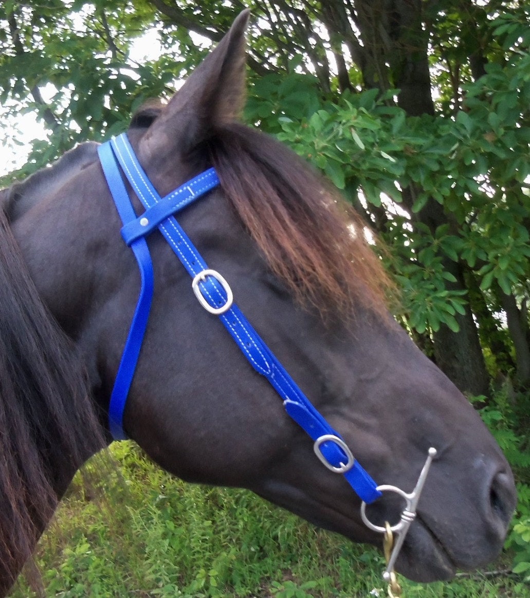 Items similar to Any Size BLUE WESTERN Horse Bridle HEADSTALL Trail