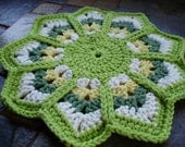 Crochet Flower Pot Holder