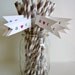 25 Custom Paper Straws With Flags/ Choose Your Colors/ Wedding