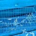 Vintage Wire Basket Locker Basket Galvanized Industrial