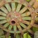 Rusty Metal Garden Art Industrial Chic Decor