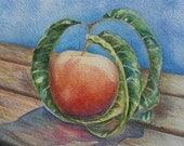 Peach With A Twist, Limited Edition Giclee' Print