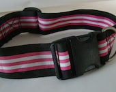 Vintage Belt Dog Collar - Candy Stripe - fully adjustable