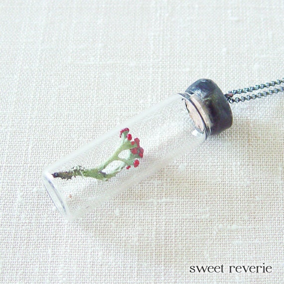 Botanical Soldered Vial Pendant Necklace Natural History Woodland Mint Green Red Minimal Moss Lichen Specimen Terrarium, Real Pressed Flower