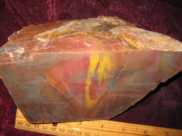 Petrified Wood Arizona - free shipping usa