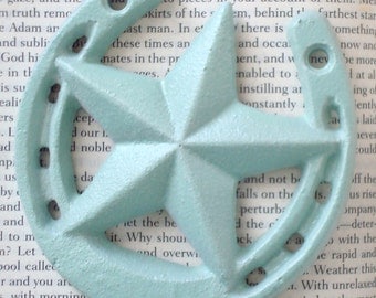 horseshoe wall hook - cast iron hook - lone star wall hook - robins egg blue jewelry holder - towel rack - cowgirl nursery decor