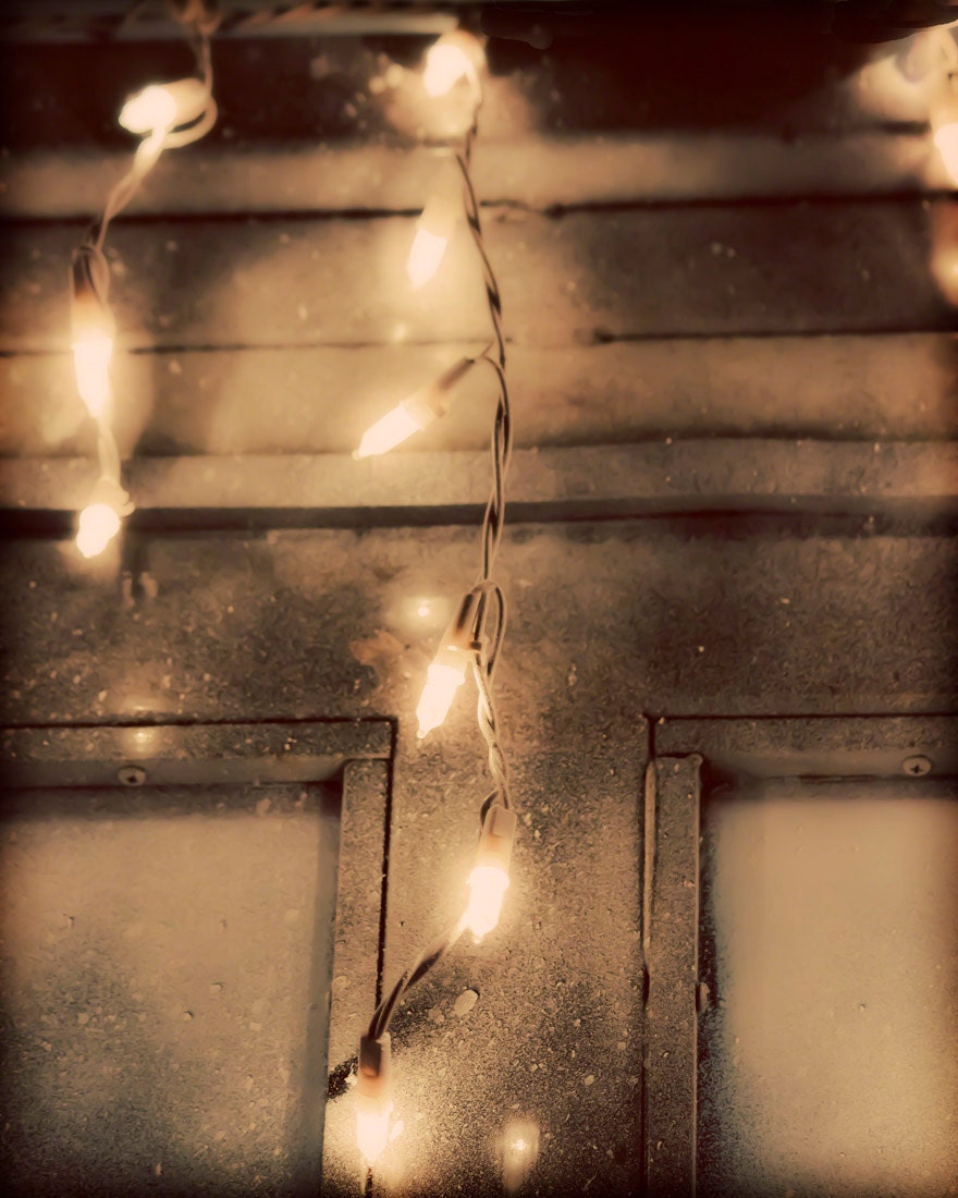 items similar to hanging christmas lights 8x10 items similar to hanging christmas lights 8x10