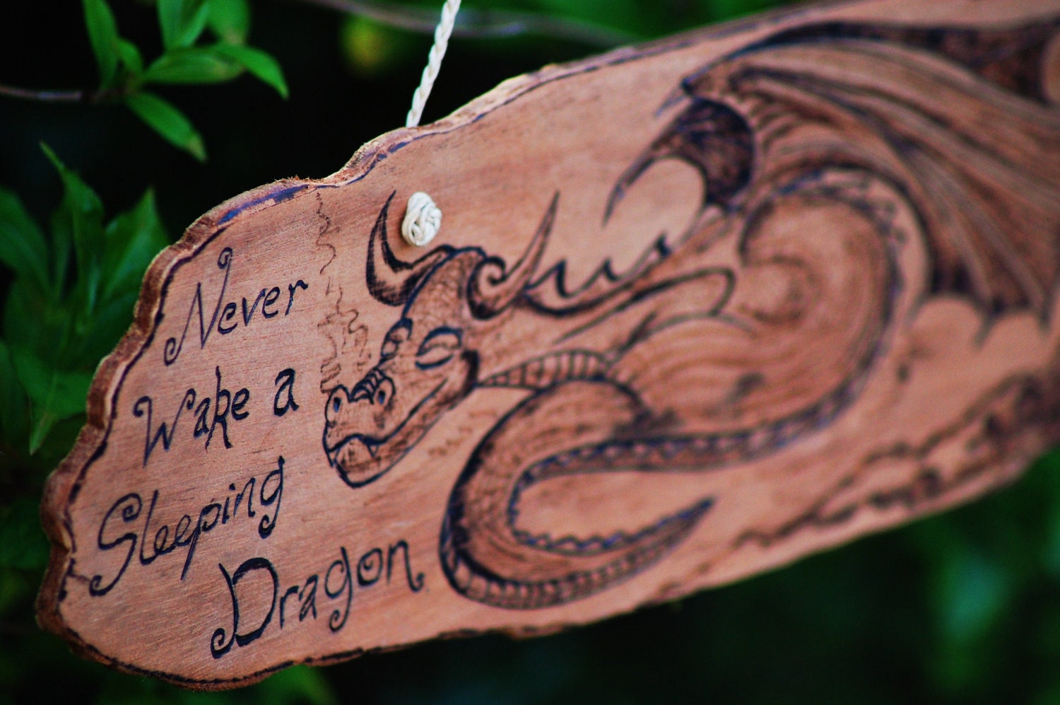 Dragon Wood Burning Wall Hanging 'Never Wake a Sleeping Dragon'