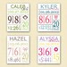 Personalized Girl's Nursery Birth Print, Butterfly, Pink Green Lavender, You Pick Color & Birth Details, Nursery Decor, Baby Gift