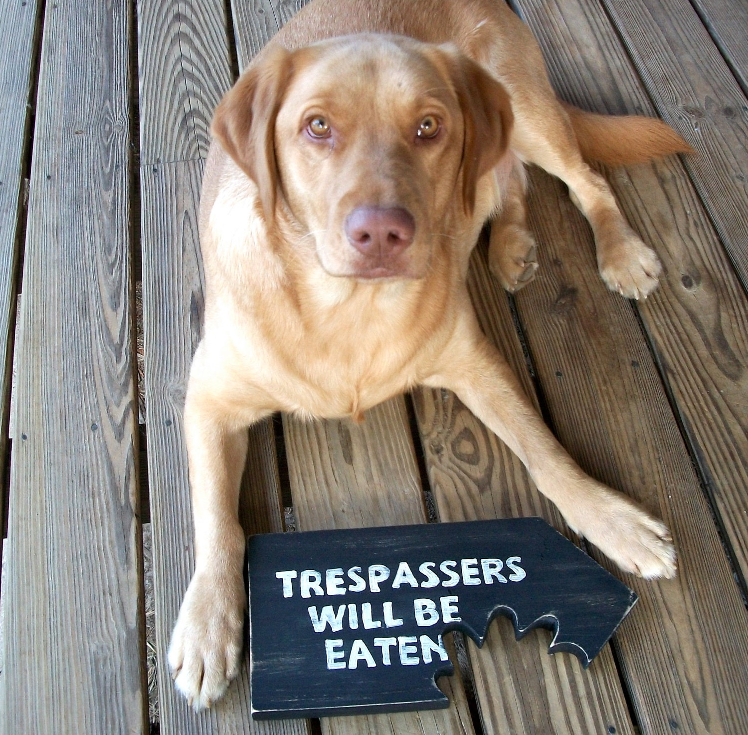 Trespassers Will Be Eaten, No Girls Allowed, Beware of Dog, Man Cave, Sign, Office Decor, Plaque, Distressed Wood,  Made to Order