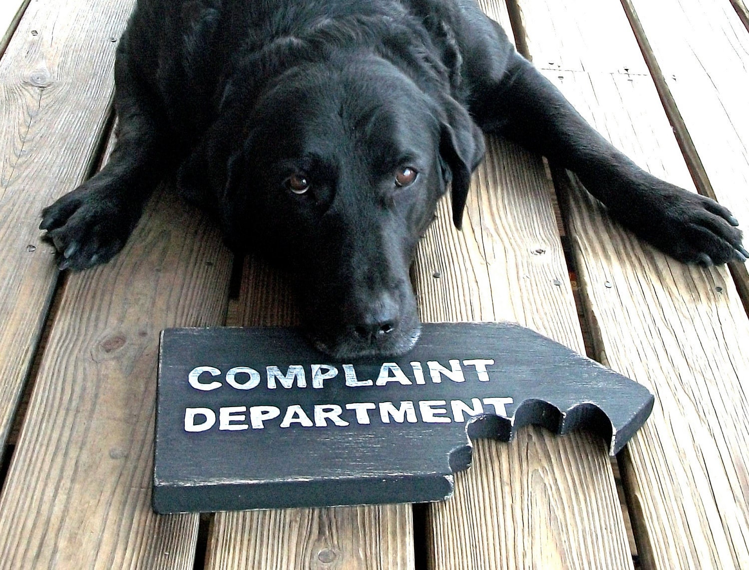 Funny Sign, Man Cave Decor, Dog Lover, Complaint Department, Customer Service, Beware of Dog, Chomp, Black and White