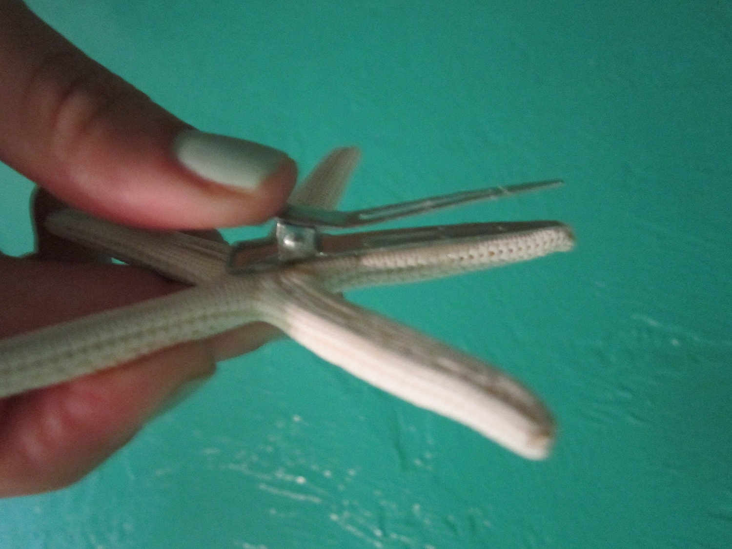 Custom Starfish Hair Accessories- Skinny White Starfish