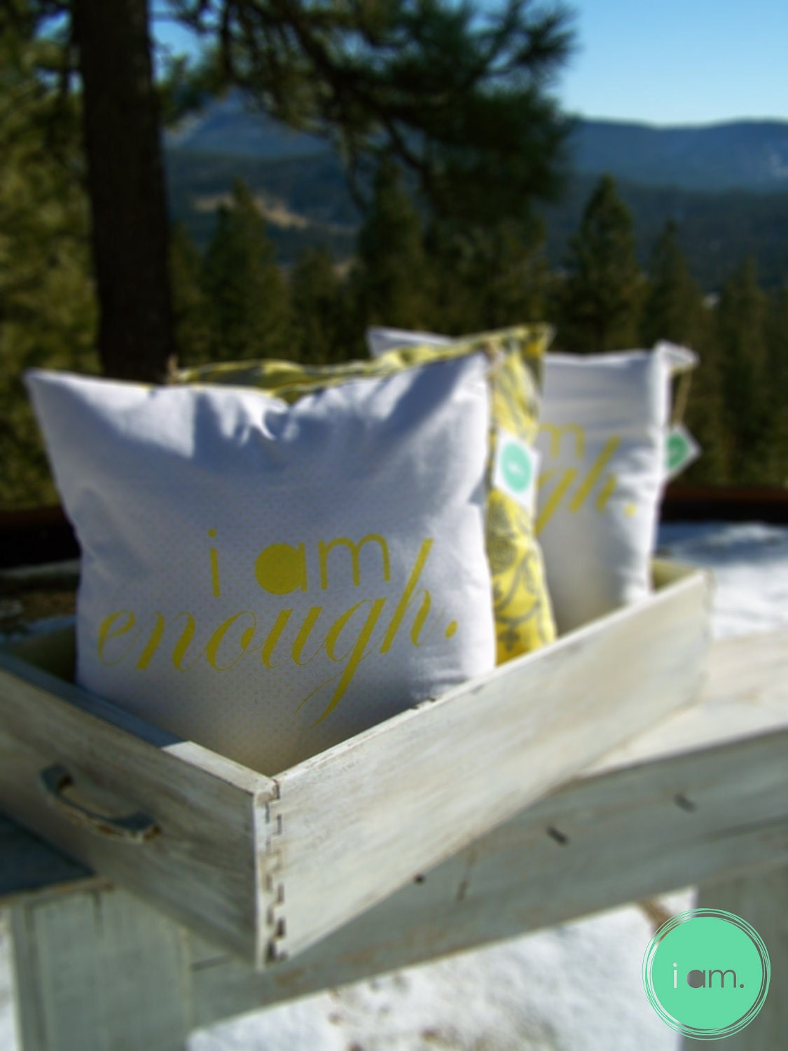 i am enough pillow.