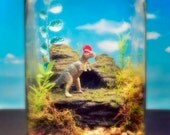 Baby Dinosaur Cave - Terrarium / Diorama