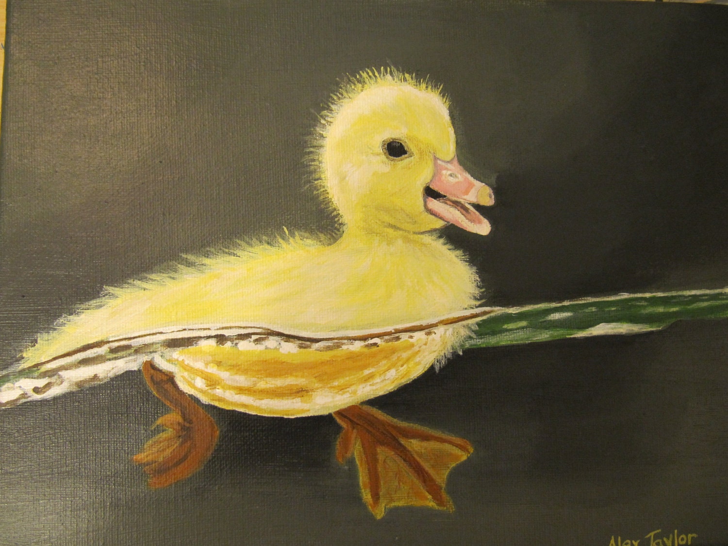 Baby duck's first swim-original acrylic painting on canvas 9"x12" - alextaylor1