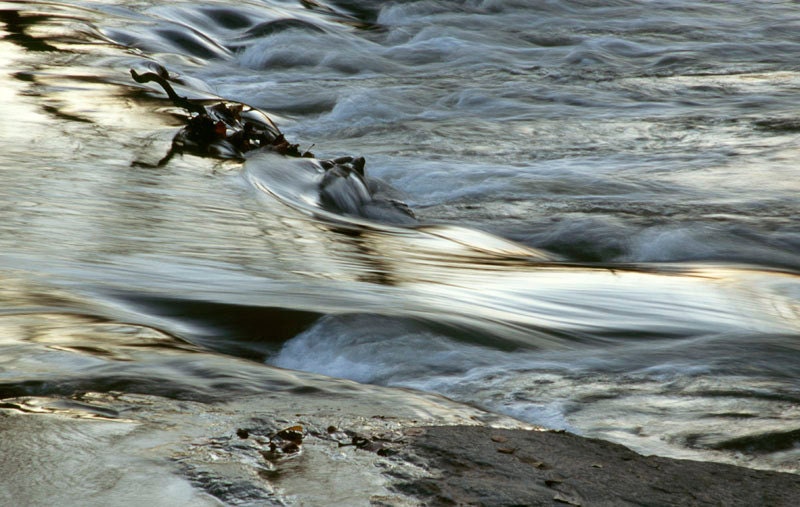 Matted 12x16 print of stream in morning light  - "Release"