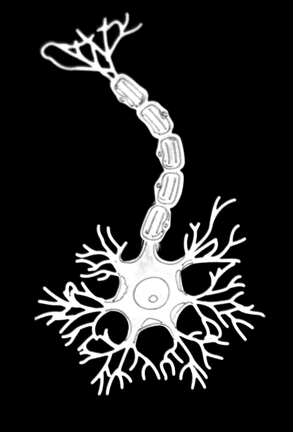 Neuron Ornament