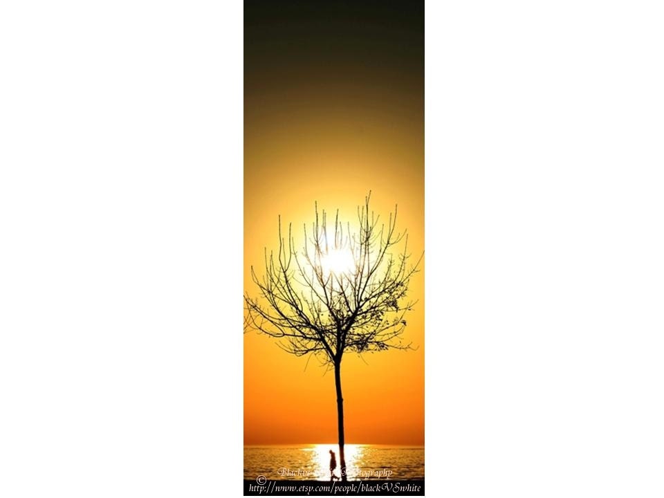 Free Shipping- Dreamer- Sunset print- Orange Sunset Photography- Romantic Photo- Fine Art Print- - Wall Art- interior design photo