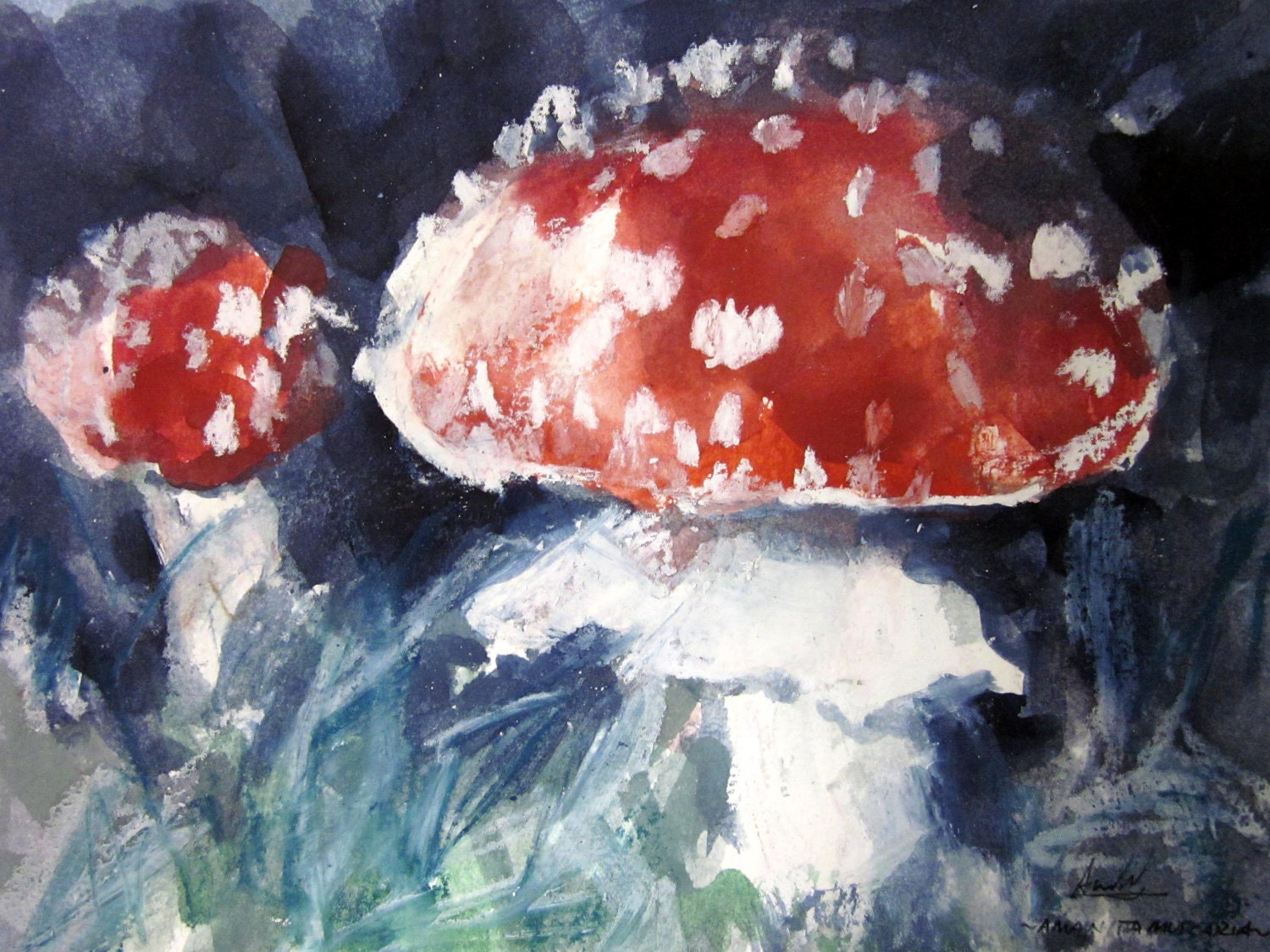 Amanita Muscaria