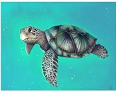 Seagreen Seaturtle, Archival 8 x10 Print