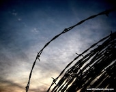 Barbed Wire Study 5  - 16 x 20 Fine Art Photography -  Blue Orange Sunset Rustic Industrial Decor - FREE SHIPPING - TAGT Team - WhiteBarnArt