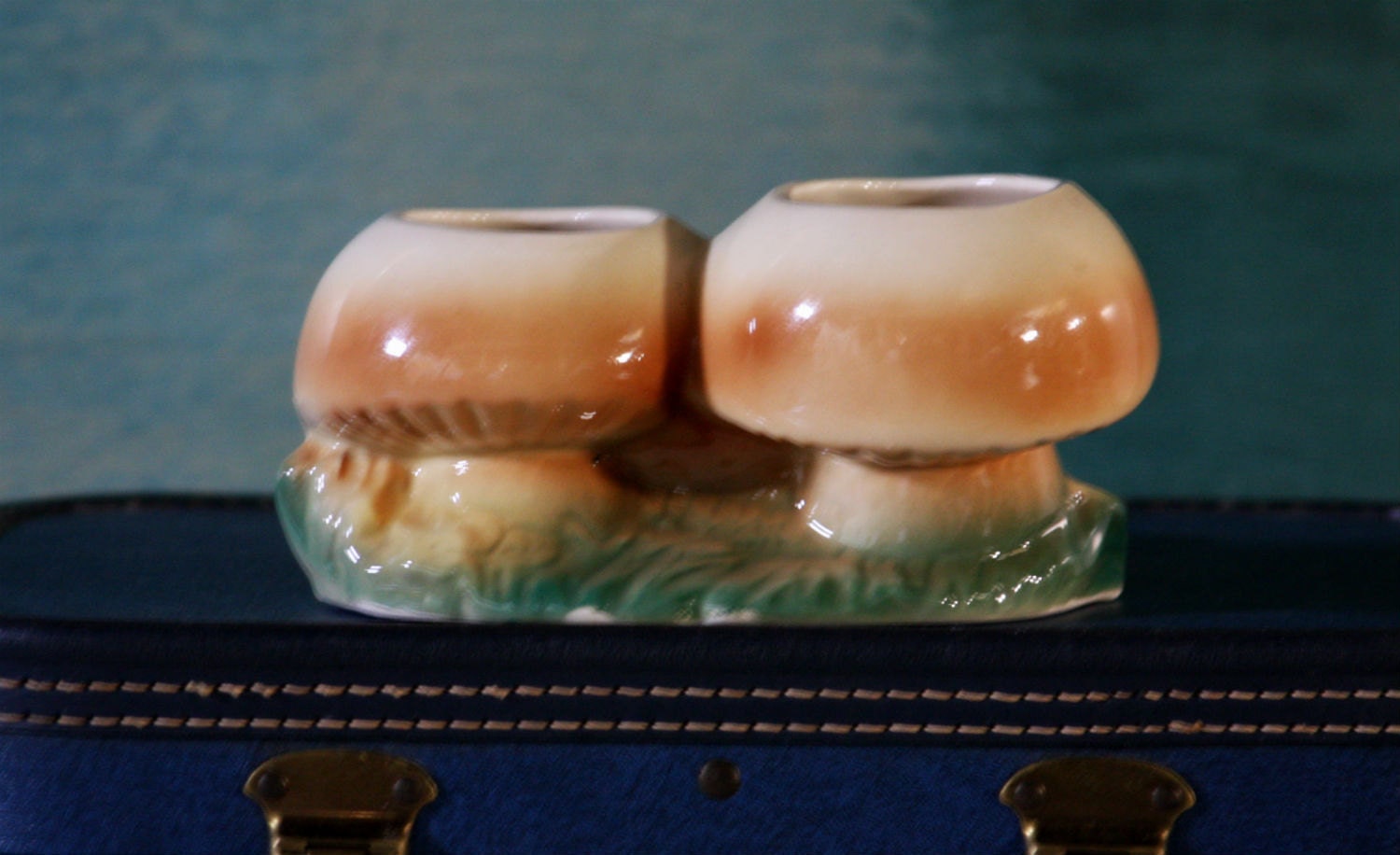 Mushroom Planter Featuring Two Mushrooms