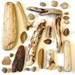 driftwood, agates, and pebbles: natural history collected lot