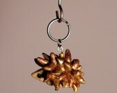 Land Urchin "Virgil"