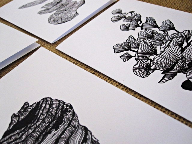 Fungi Notecard Set