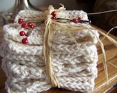 Set of 3 Ecru 100% Cotton Crocheted Dish Cloths Packaged for Gift Giving - MondaysChildPrims