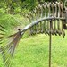 Found object welded garden art fish, Gone COASTAL