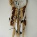 Gaia Dreamcatcher, Mother Earth