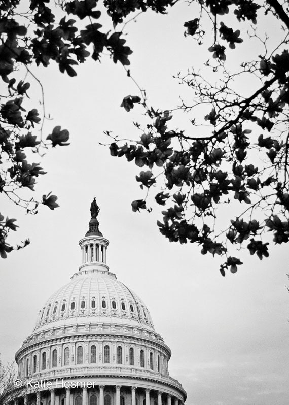 The U.S. Capitol, Washington, DC (black and white) - 5x7 Matted Photograph