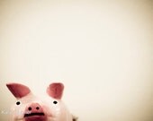 Adorable Little Piggy - 5x7 Matted Photograph