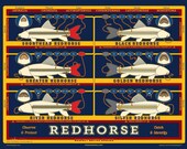 Redhorse Sucker ID print (medium)