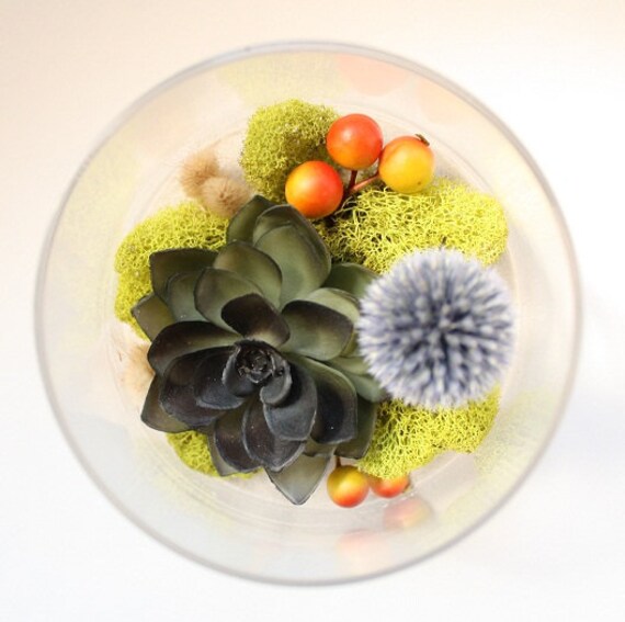 Care-Free Modern Succulent Terrarium