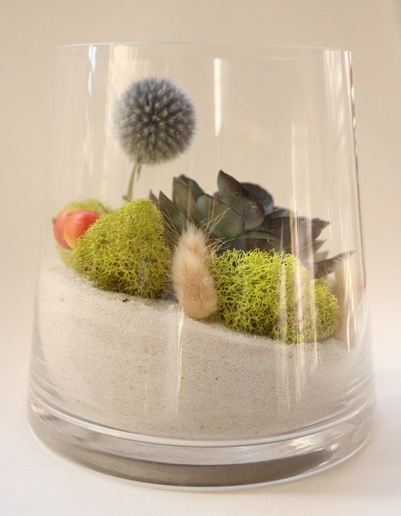 Care-Free Modern Succulent Terrarium