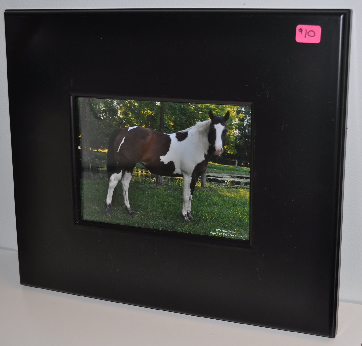 Frame Paint Horse
